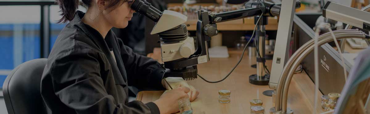 斯沃琪官方售后维修服务中心网点