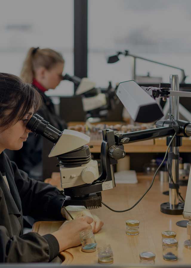 斯沃琪官方售后维修服务中心网点